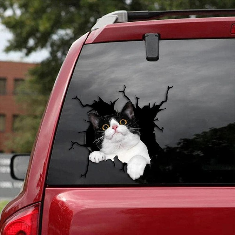 5PCS Car Body Sticker Cat Wall Decals 3D Cute Cat Stickers For Window Bumper