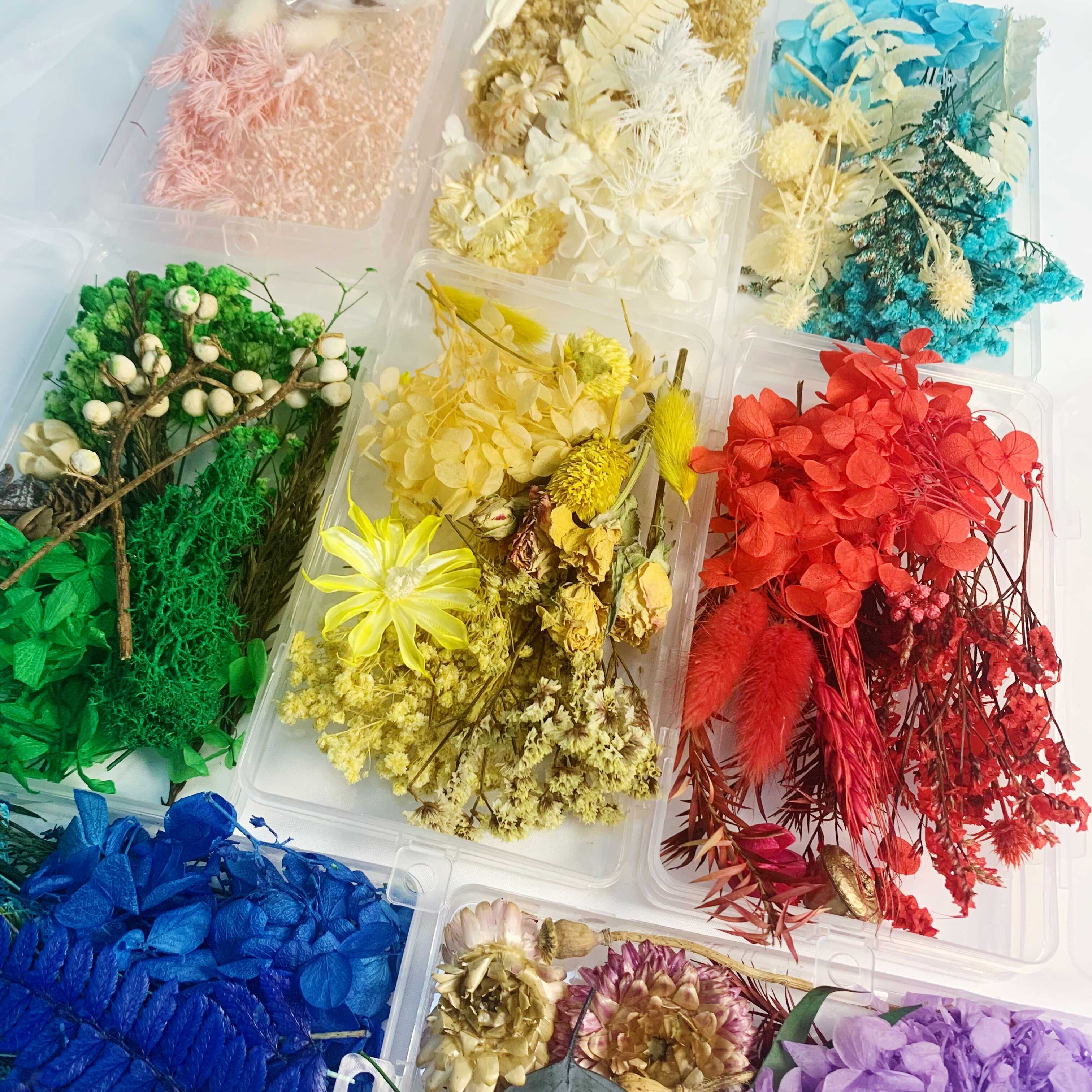  1 caja de flores secas plantas secas para rellenos de resina,  colgante de resina epoxi, collar, fabricación de joyas, manualidades,  decoración de uñas : Arte y Manualidades