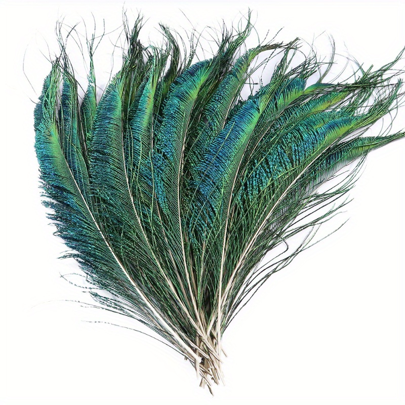 

20pcs Holiday Party Table Decorations Simulated Peacock Feathers Women's Makeup Hair Head Inlay Living Room Table Decoration Photography Posing And Shooting Accessories