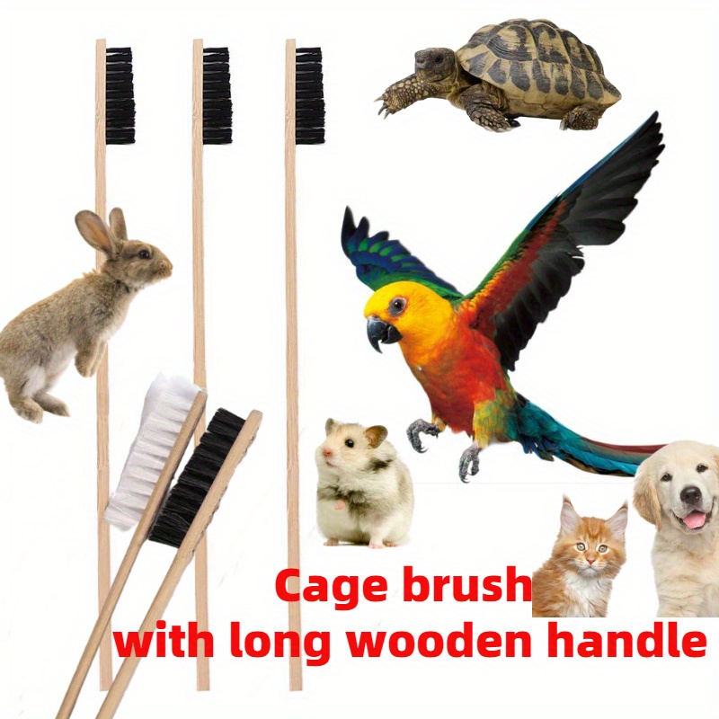  Portable Brush 2pcs Turtle Shell Cleaning Brush Plastic Care  Tortoise Household Cleaning Brushes : Pet Supplies