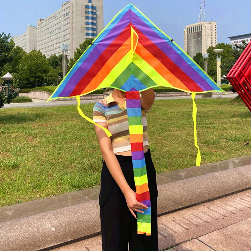 Grand cerf-volant coloré d'arc-en-ciel avec la longue queue et la poignée