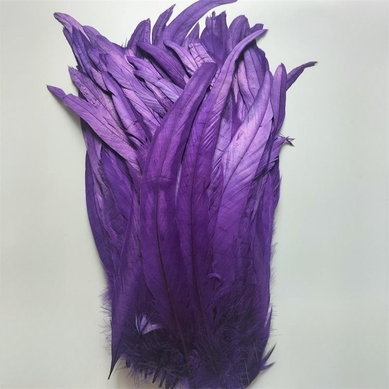 Rooster Feathers, Buy Decorative Feathers