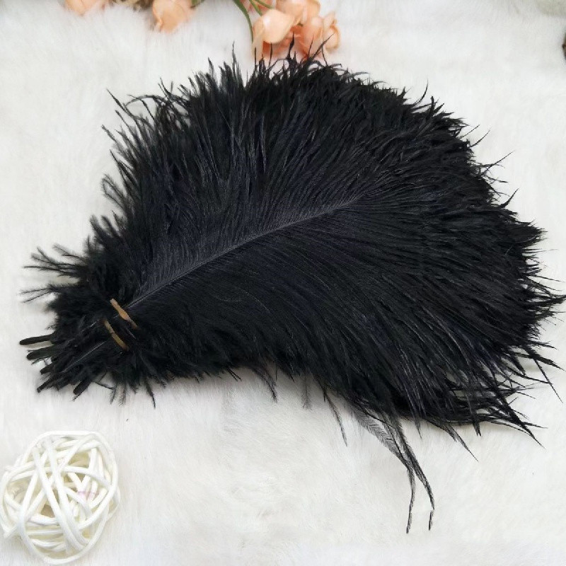 20pcs Black Ostrich Feathers Plumes Bulk for Wedding Party Home