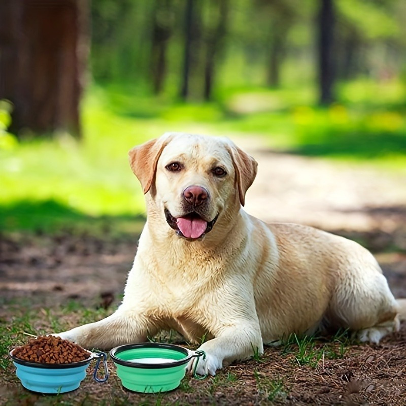 

1pc Portable Dog Travel Bowl With Dust Proof Lid And Carabiner, Silicone Dog Food Bowl Drinking Basin For Outdoor Supply