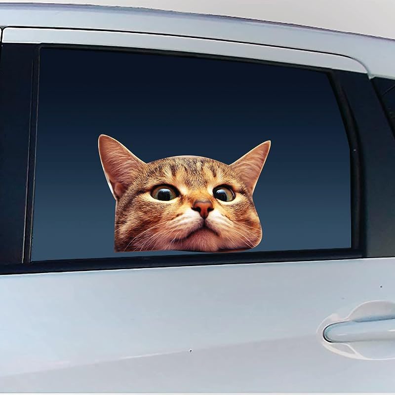 Autocollant fissuré pour chat de voiture autocollants pour - Temu