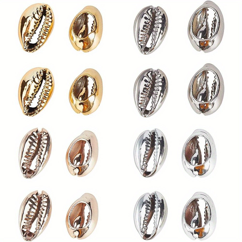 Popular Types of Cowrie Shells