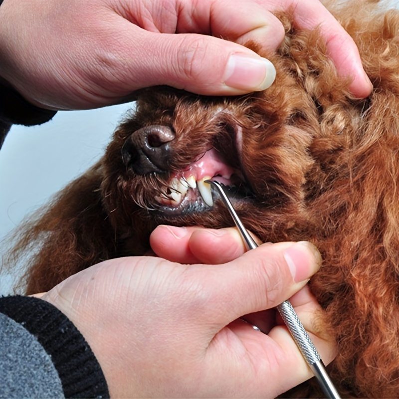 rimozione della placca per il tartaro dei denti - Temu Italy