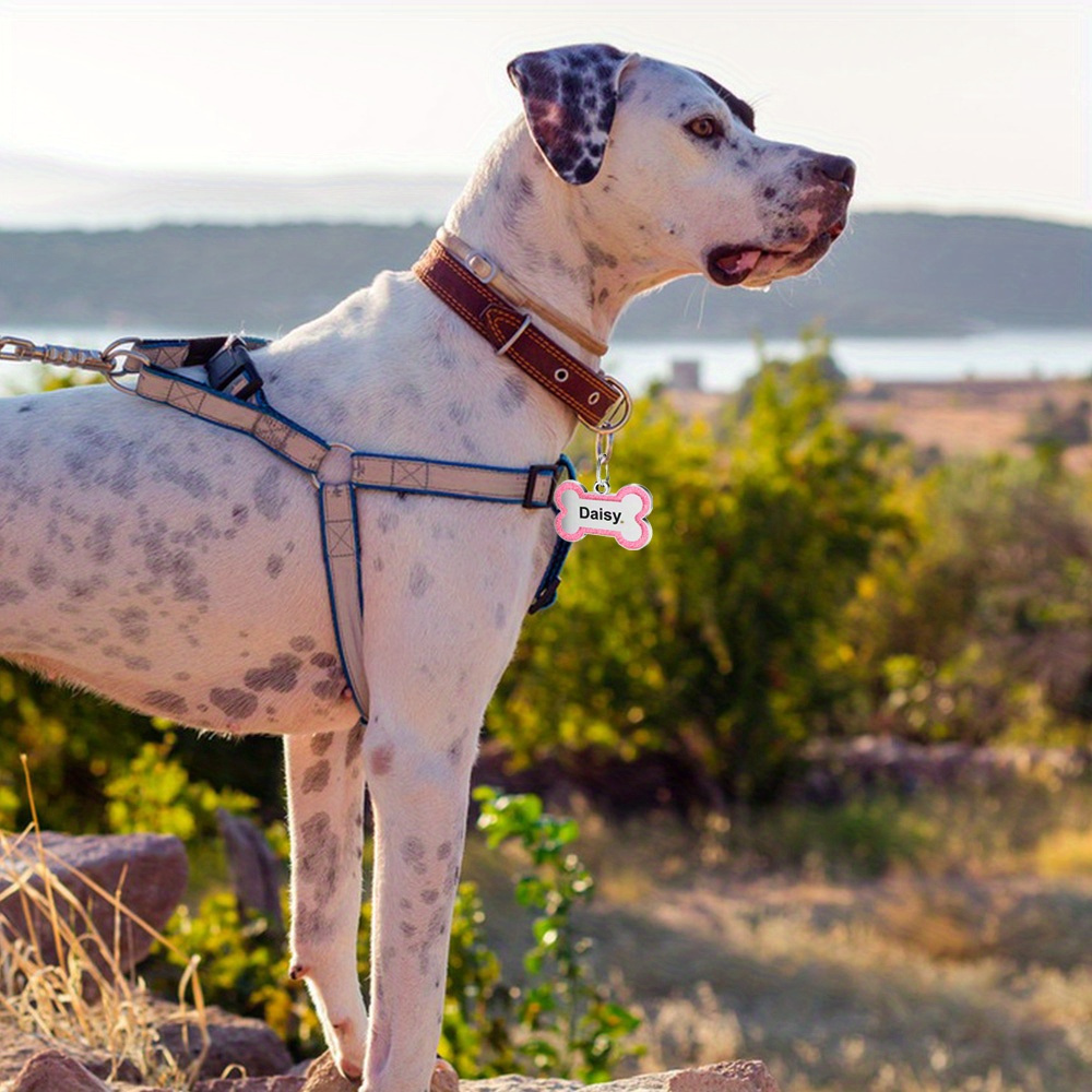 Personalized clearance dog accessories