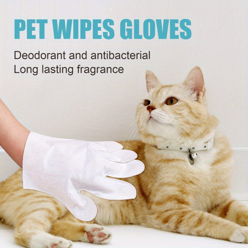 Cat 2025 bath wipes