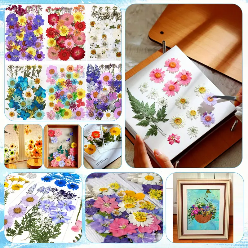 Flower Press Kit 6 Layers Wooden Flower Press Complete - Temu