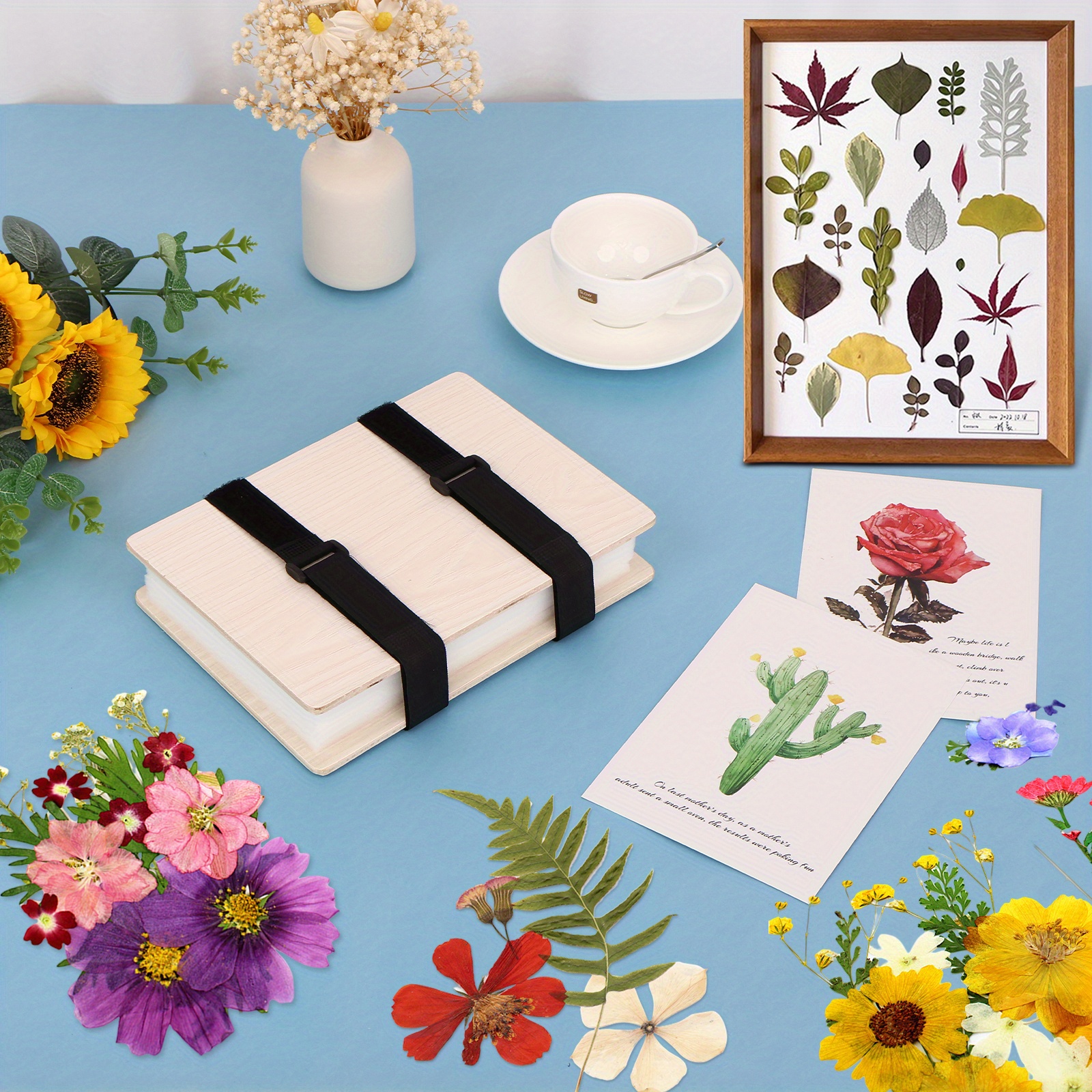 Flower Press Kit 6 Layers Wooden Flower Press Complete - Temu