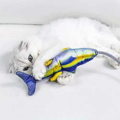 Cat Toy Fishing - Temu