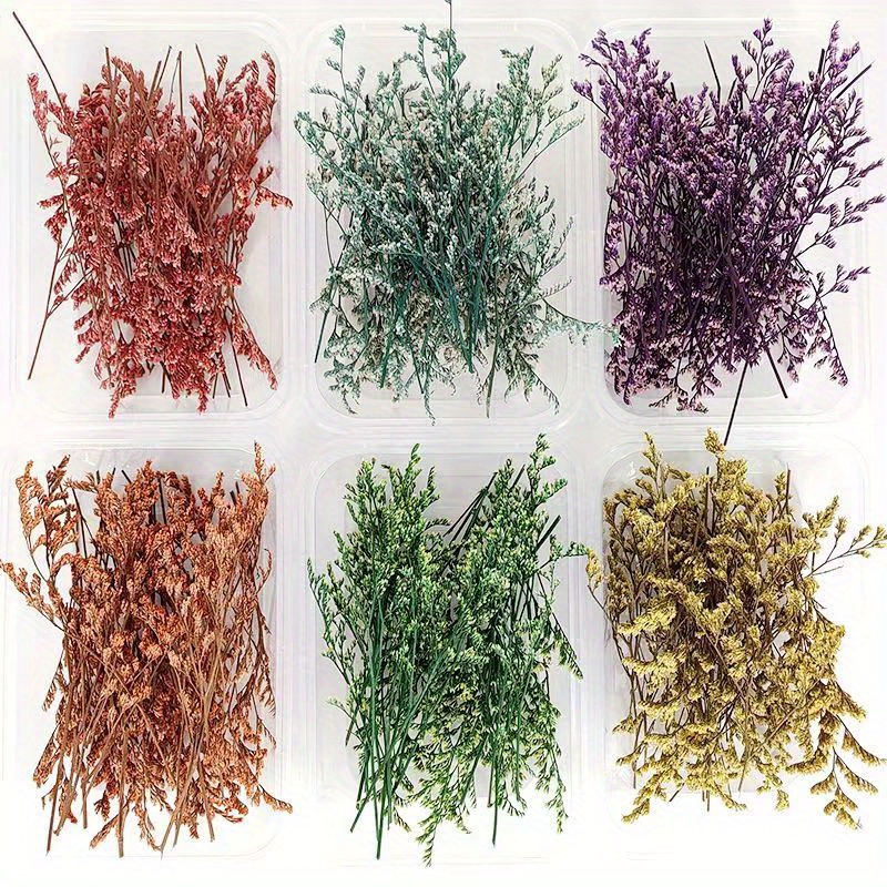 1 Box Random Real Dried Flower Resin Mold Fillings UV Expoxy Flower For Epoxy  Resin Molds Jewelry Making Craft DIY Accessories