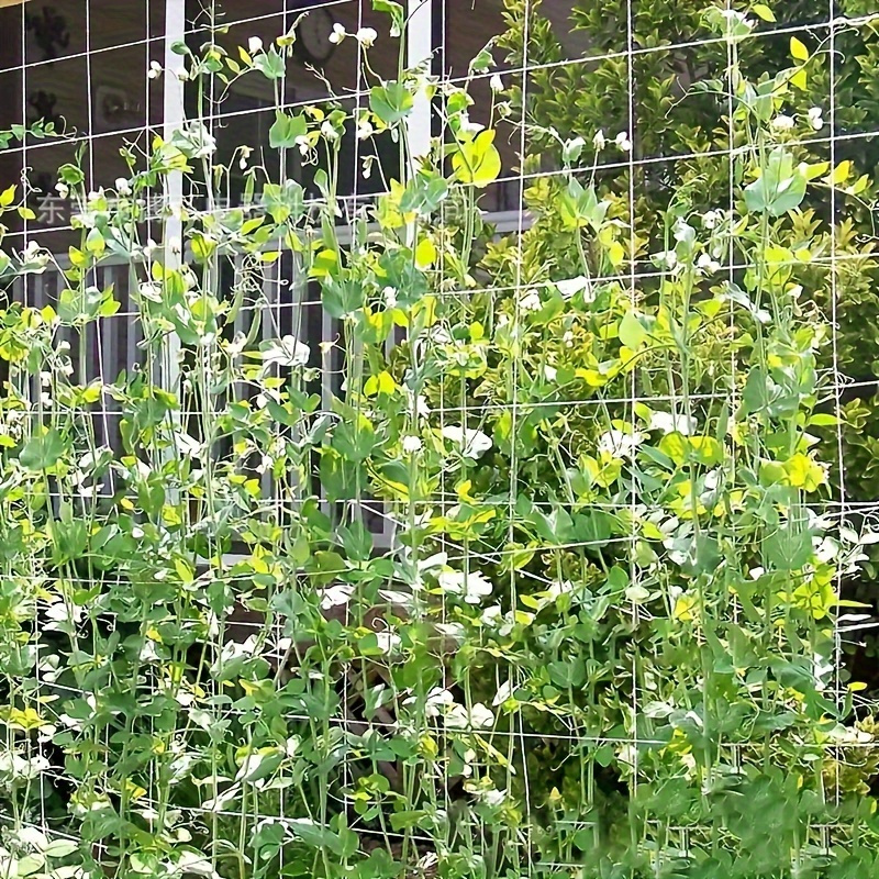 Plasă pentru Plante Cățărătoare – Ușor de Montat 5 x 4.5 m
