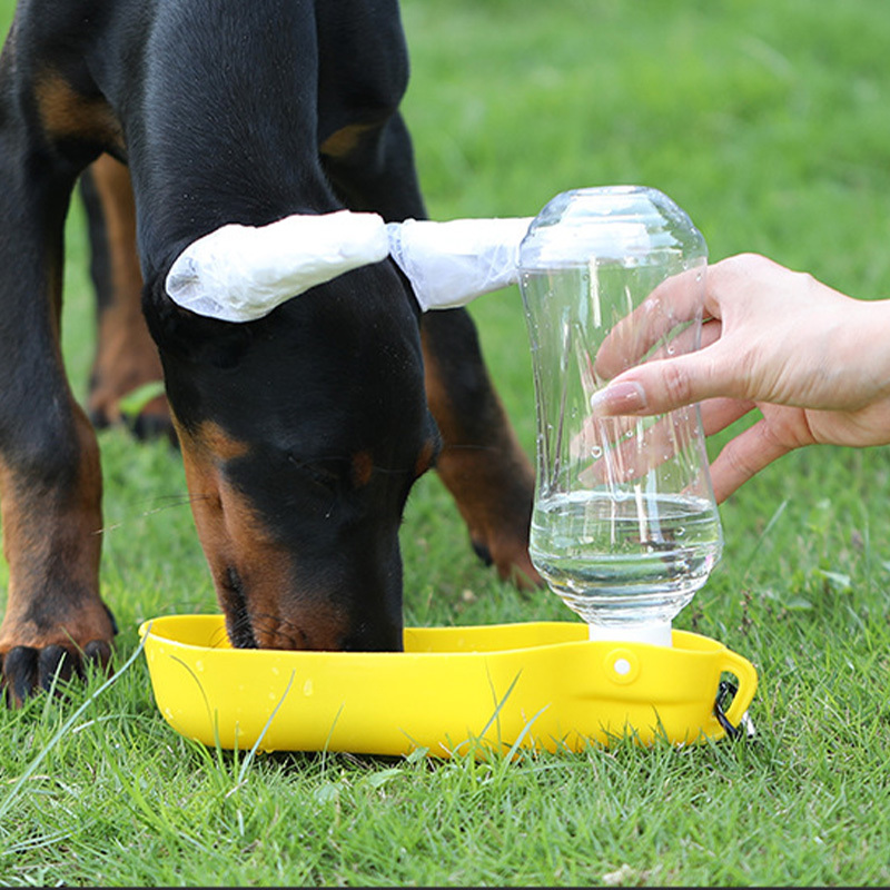 Water cup for on sale dogs