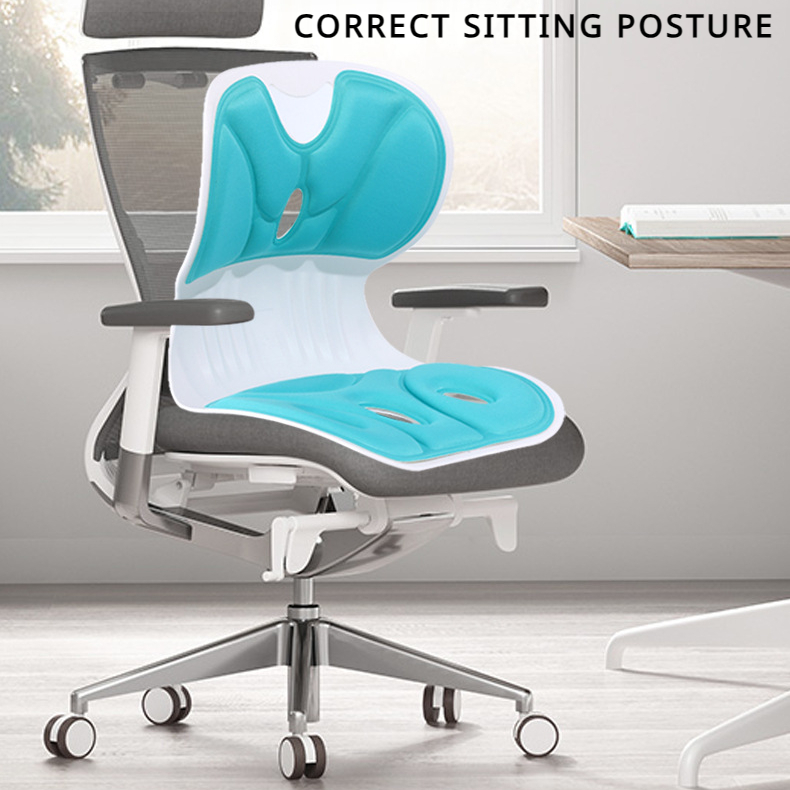 Posture Corrector Chair Ergonomic Back Lumbar Hip Support Office Chair  Cushion Student Sitting Cushion Chair Waist Protector Chair Fitness  Accessories - Temu