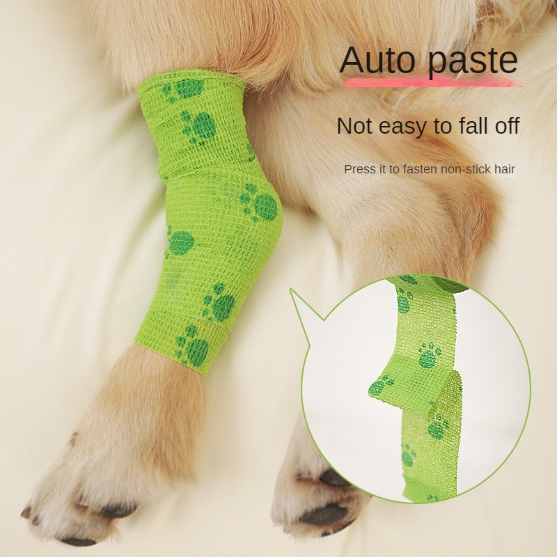 Dog paw bandage 2025 pets at home