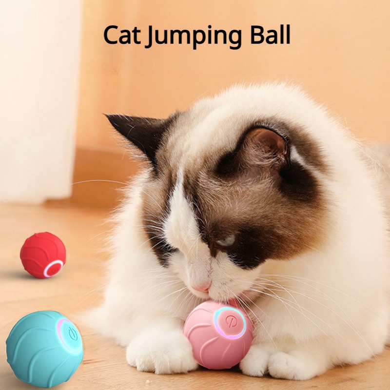 Giocattoli interattivi per animali domestici USB Electric Innovative Pet  Remote Control Ball LED Auto Rolling lampeggiante palla giochi divertenti  per cane gatto