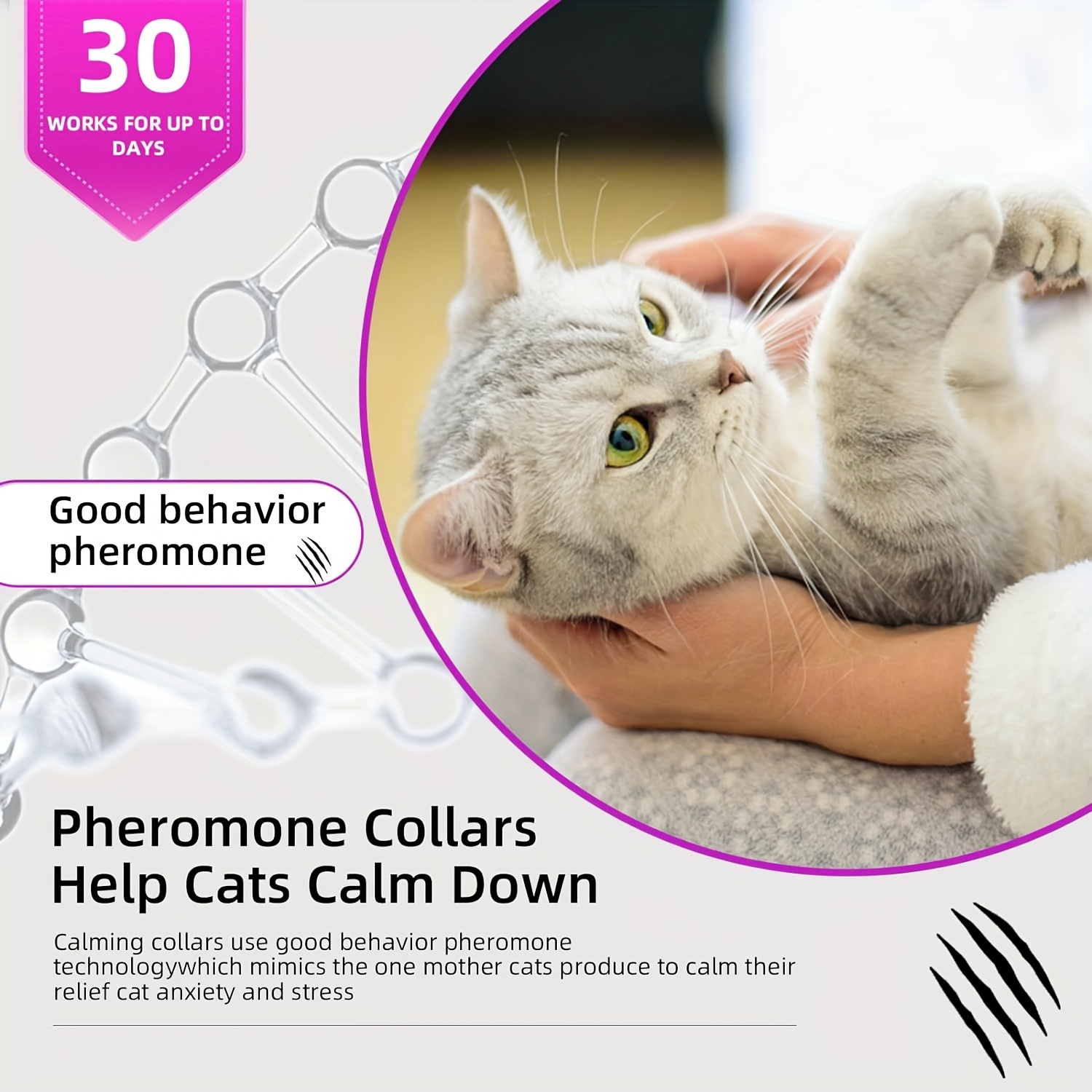 Collier pour Chat apaisant aux phéromones, Aide Les Chats à se Sentir  calmes et en sécurité, Tout en réduisant Le Stress, l'anxiété et Les