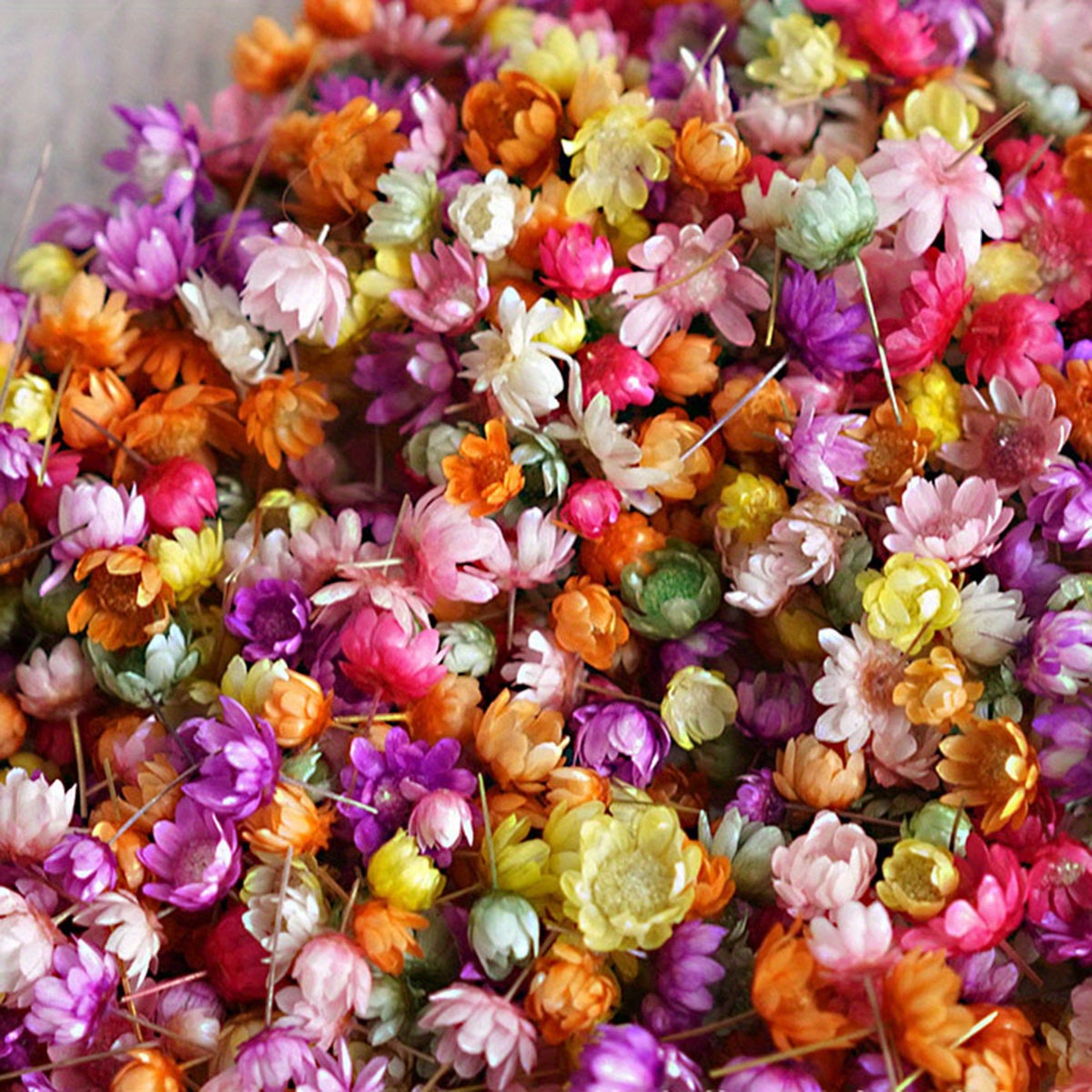 

200pcs Mixed Colorful Small Dried Flowers Bulk For Diy Resin Molds Fillings Project Casting Jewelry Candles Making Resin Art Charms
