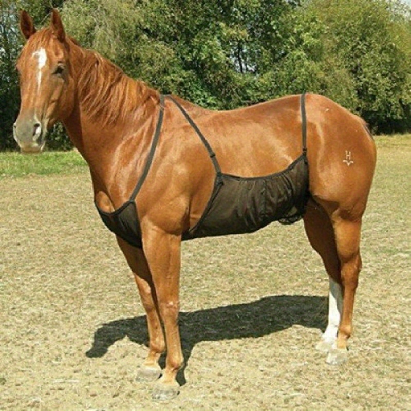 

Assorted Color Horse Belly Protector, Pet Horse Anti-insect Bite Net, Horse Belly Breathable Anti-scratch Equestrian Supplies