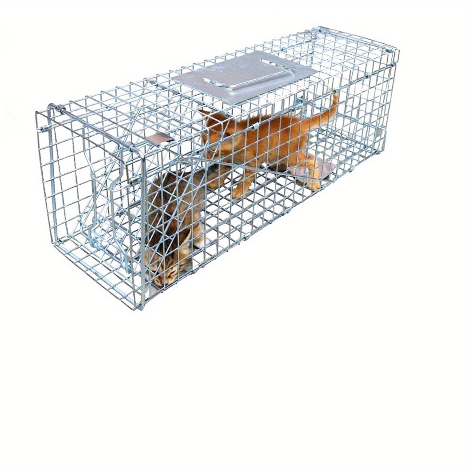 Outdoor Iron Rat Trap: High Sensitivity Reusable Keep Mice - Temu