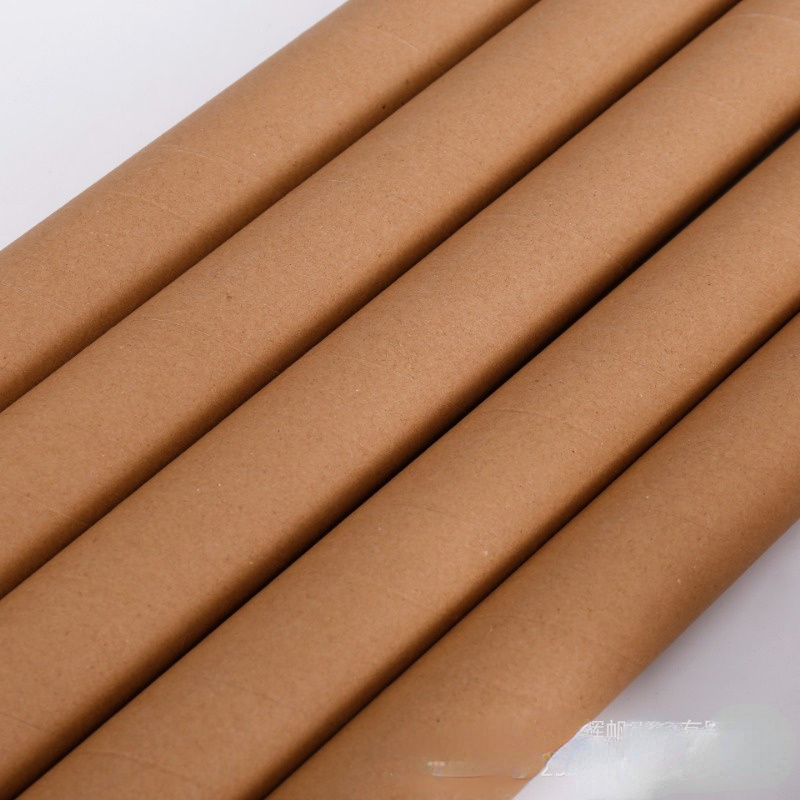 10pcs Craft Rolls，Circular Cardboard Tubes，4.13inch X 1.18inch Kraft  Paper，Thick Toilet Paper Roll, Suitable For Classrooms, Projects