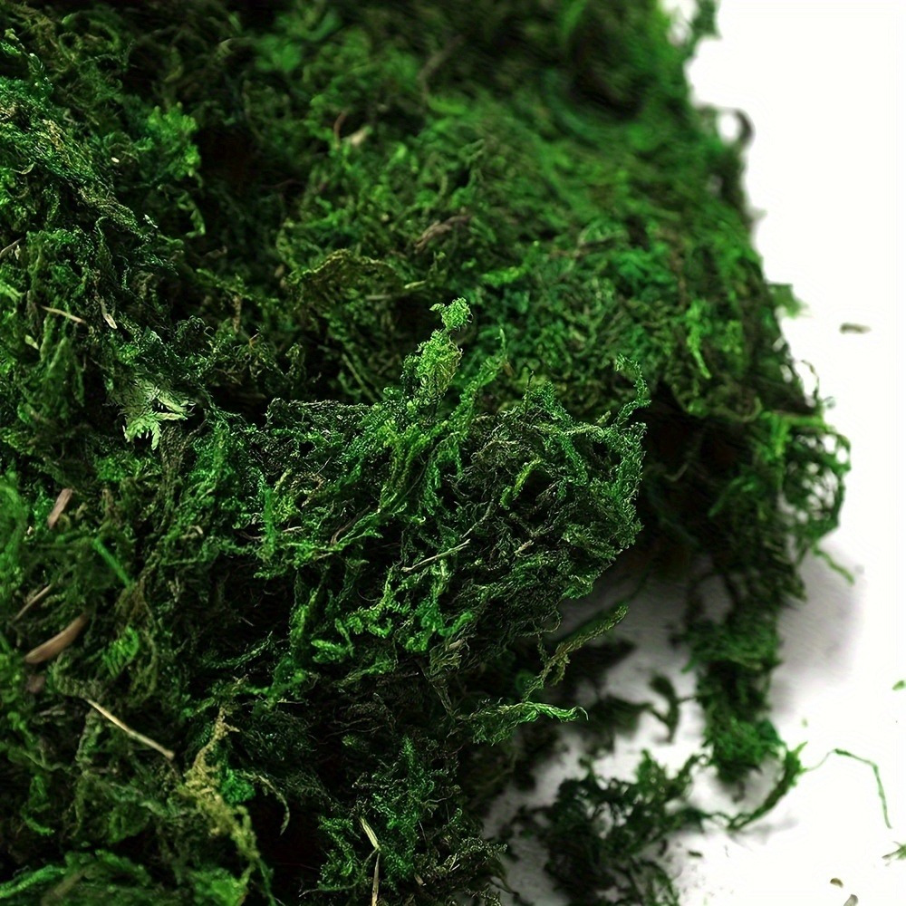 1 Set, Artificial Moss, Reindeer Moss, Lichen, 50g/1.76oz, Forest Green  Moss, Suitable For Fairy Gardens, Terrariums And Any Crafts Or Flowers