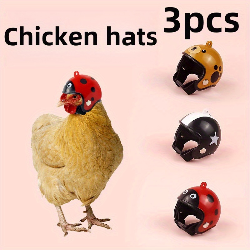 Helmets Chickens Birds, Chickens Toys Chickens
