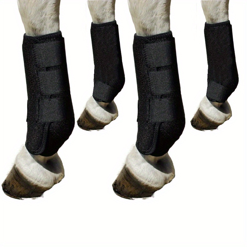 Horse on sale knee pads