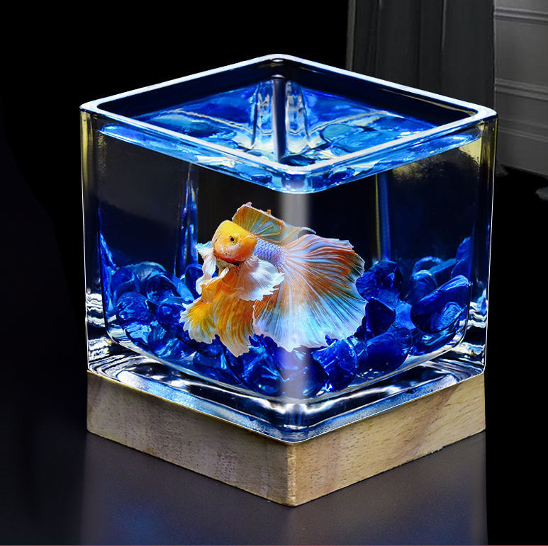 Square Glass Fish Tank White Glass Desktop Small Fish Tank - Temu