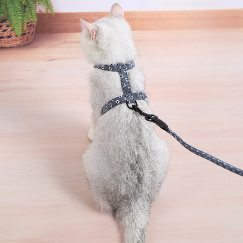 Adjustable Cat Traction Rope Cat Harness Leash Set Rabbit - Temu
