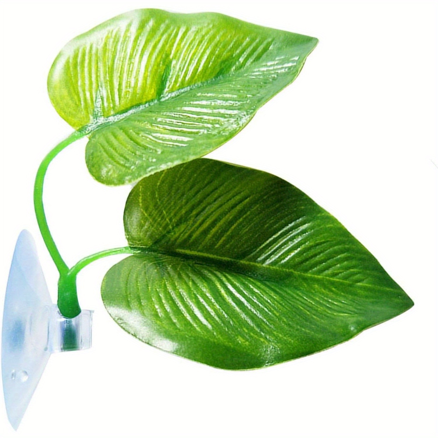 Betta Fish Leaf Pad Improves Bettas Health By Simulating The Natural  Habitat Natural Comfortable Rest Area For Fish Aquarium - Pet Supplies -  Temu Malaysia