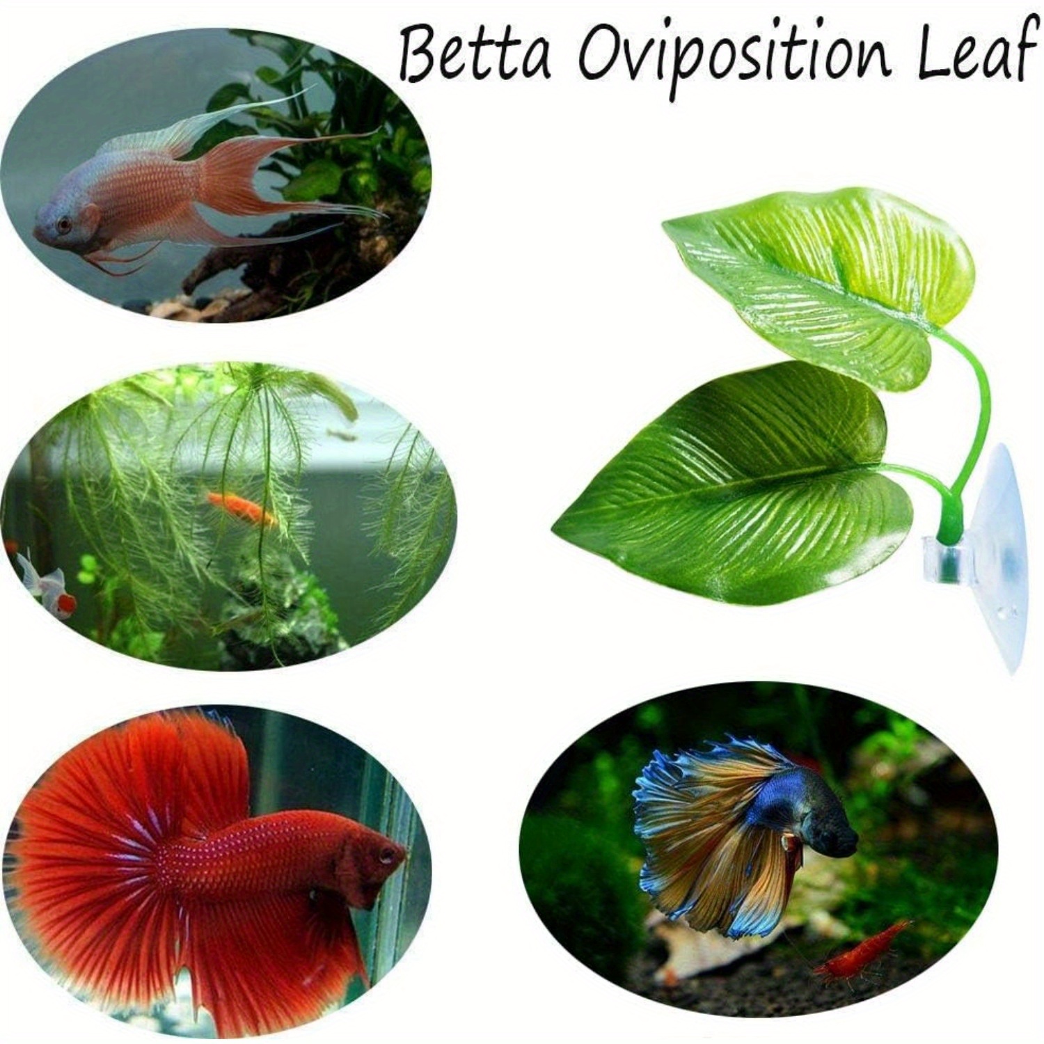 Betta Fish Decor - Temu Philippines