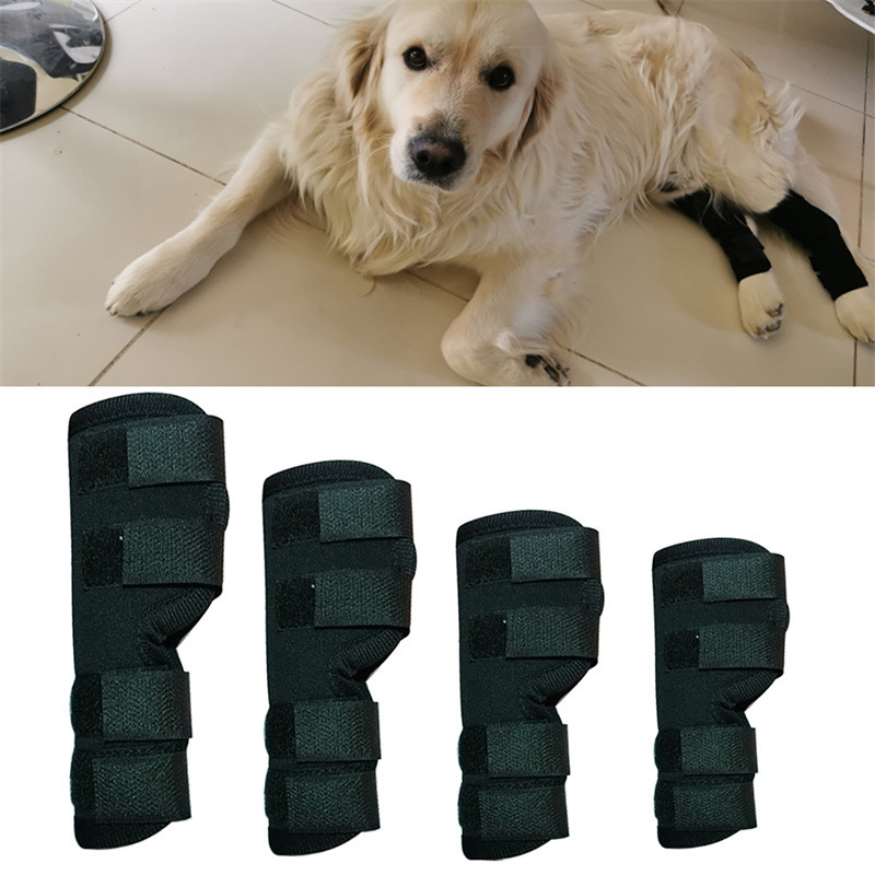 Extra Supportive Canine Leg Braces Protect Recover Your Dogs Hock