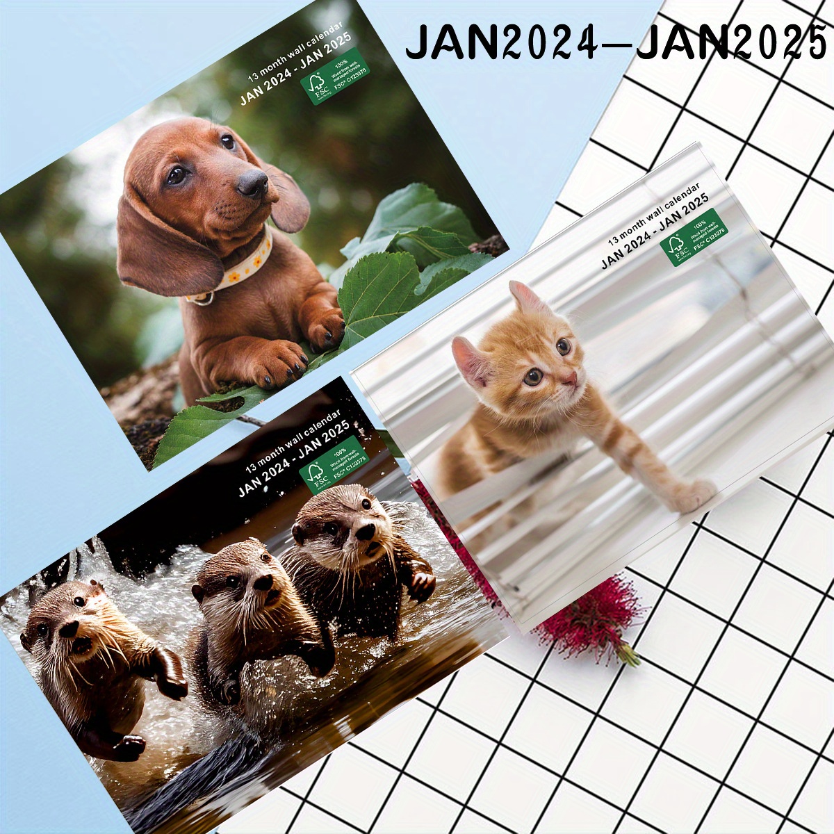 Calendario 2024 di palline per gatti piccoli con divertenti immagini di  gatti, calendario di culi di animali domestici carino, regalo di scherzi di  12 mesi per gli amanti dei gatti – i