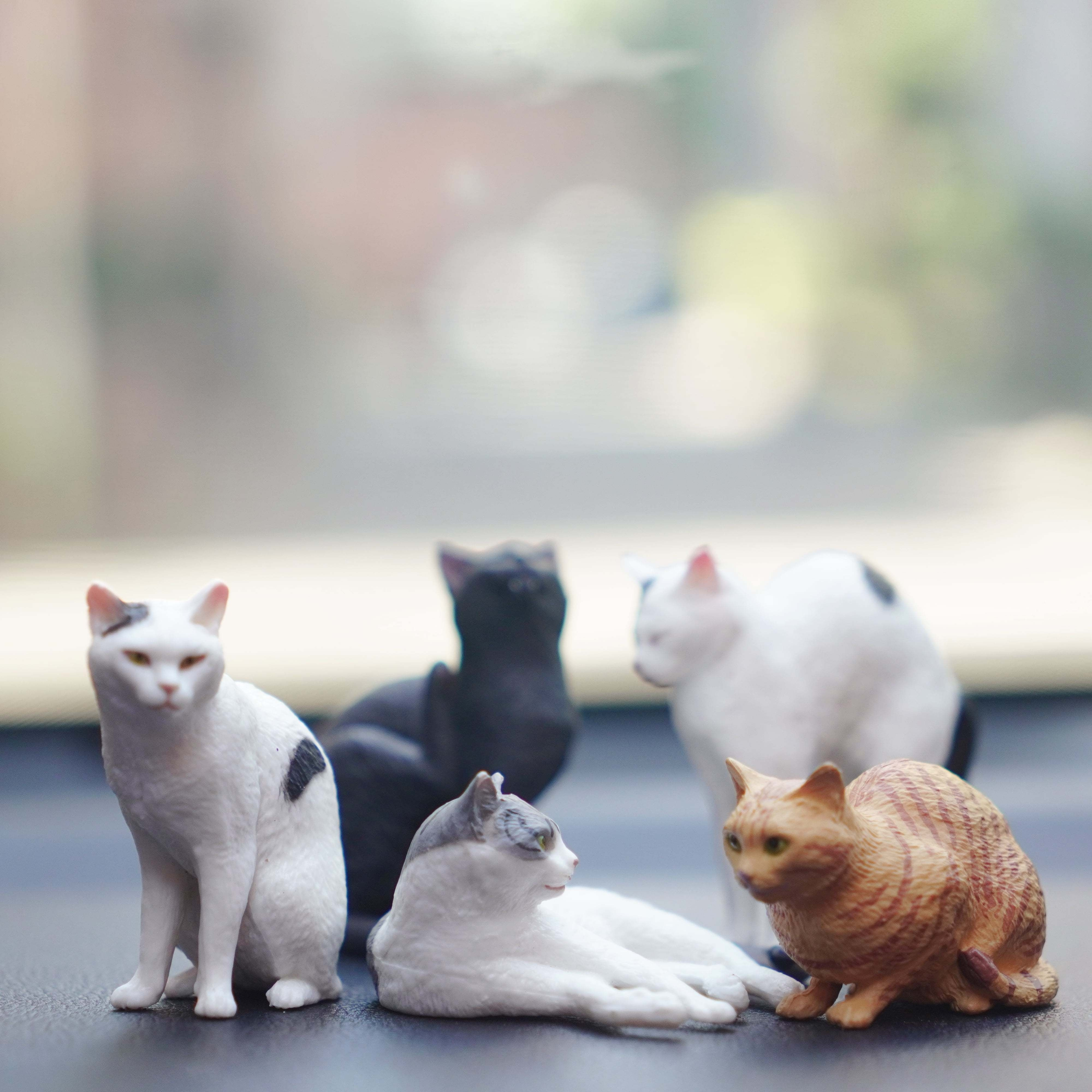 Cat Figurines Realistic Cat Dollhouse Accessories 1:12 Scale - Temu Canada