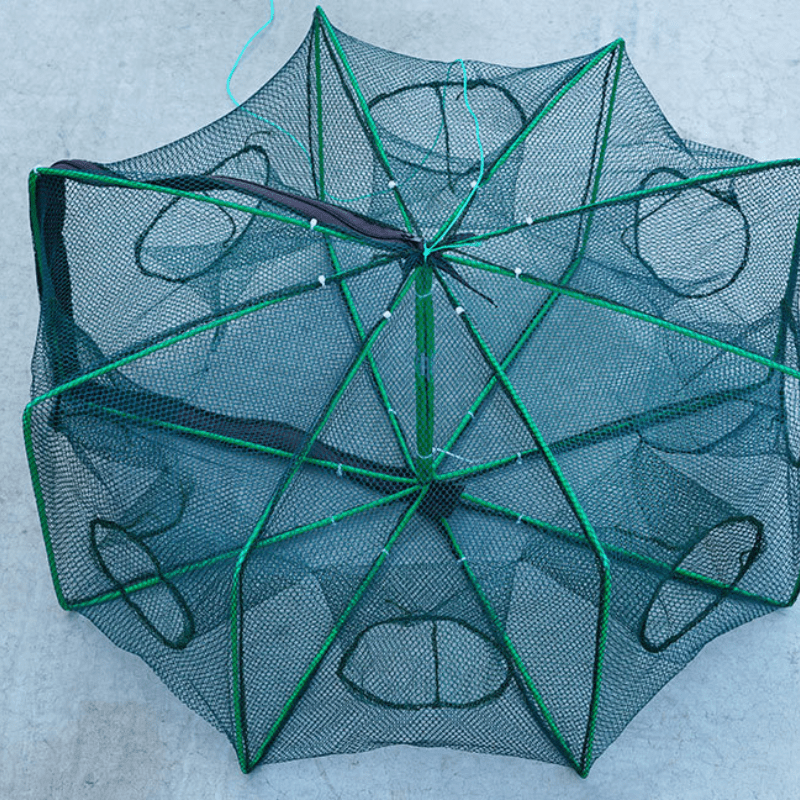 6-hole Fishing Net Trap: Foldable, Collapsible, Perfect For Catching  Minnows, Crabs, Crayfish, Shrimp & More! - Temu Poland