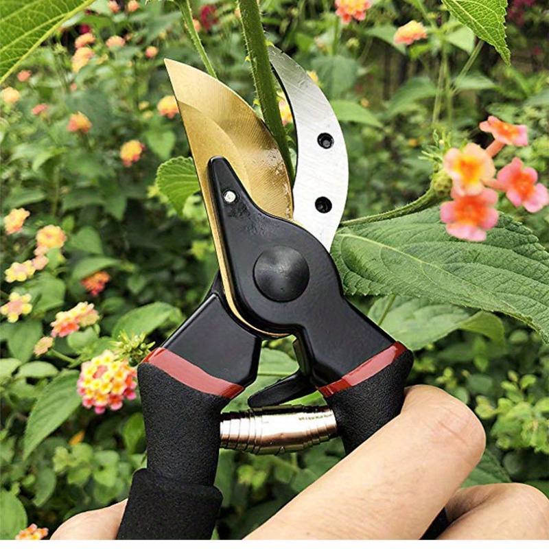 Sécateur de jardinage professionnel, outils de taille pour vergers, bonsaï,  ciseaux pour arbres, plantes et fleurs