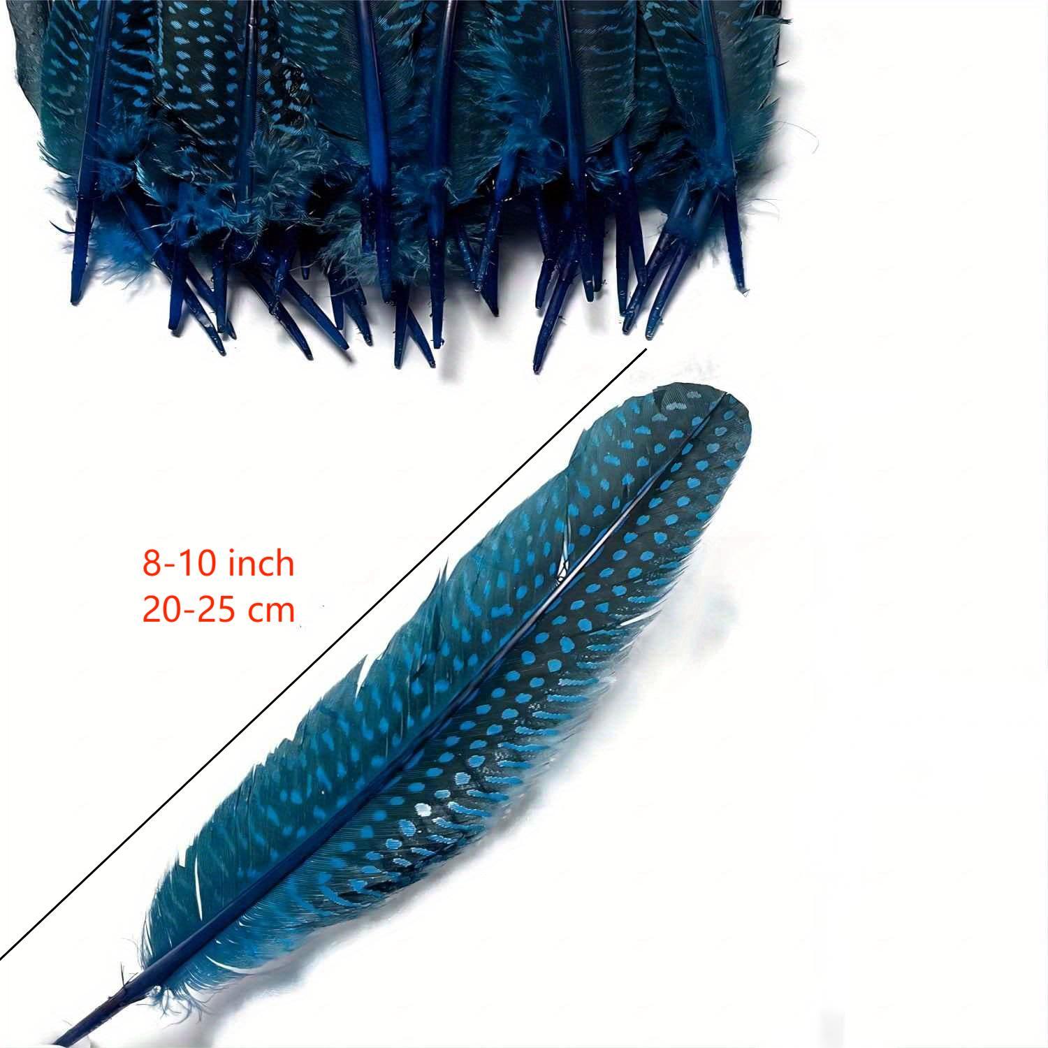 Bulk Guinea Wing Feathers Natural Feathers For Diy Wedding - Temu