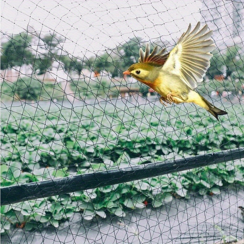 Black Bird Netting  Protects crops, plants & ponds from birds and