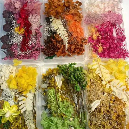 Colorful Natural Dried Flowers For Epoxy Resin Handmade - Temu