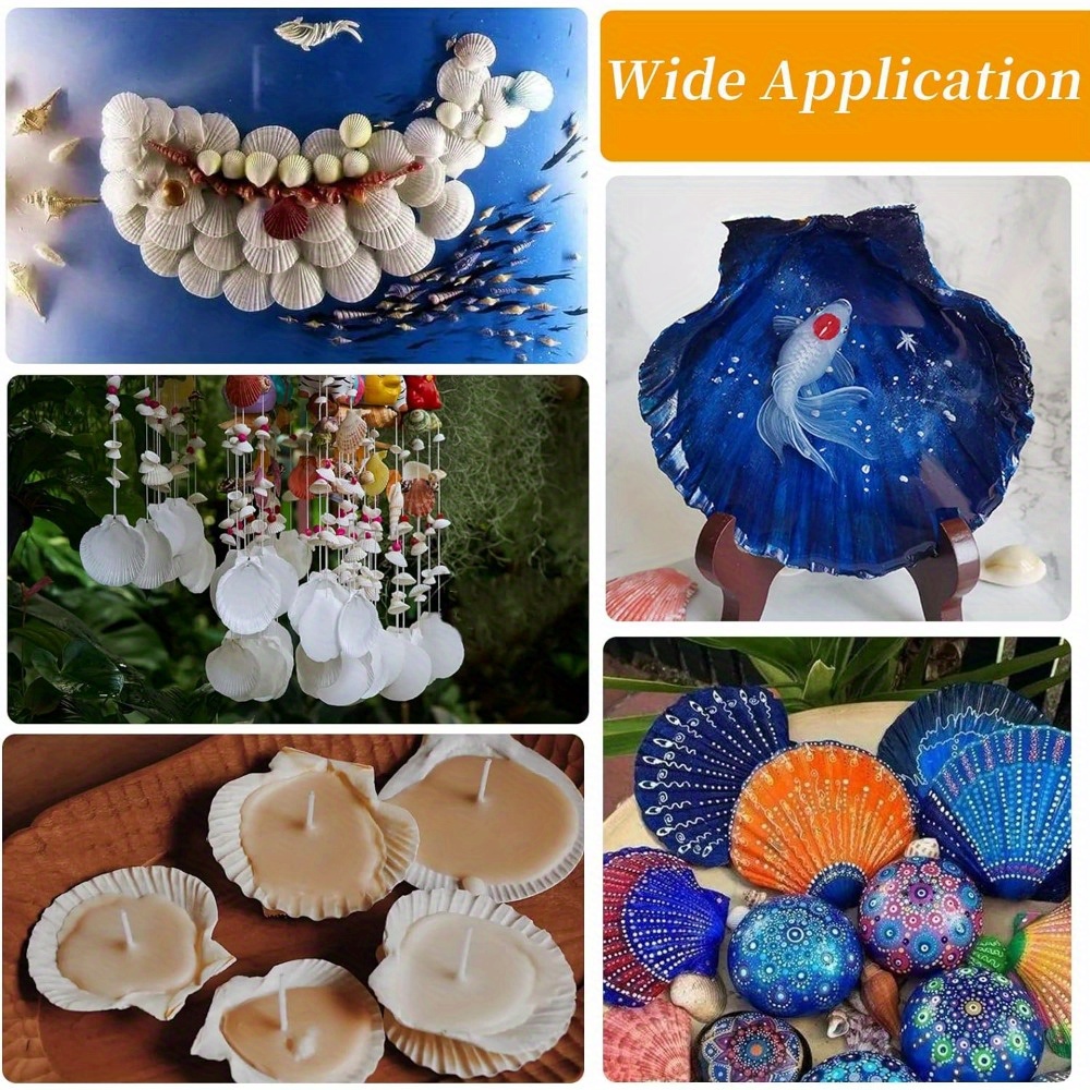 Large Natural Scallop Shells 4'' Large Shell Crafts Diy - Temu