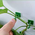 10/30pcs Plant Climbing Wall Fixture Clips, Self-Adhesive Hook Vines Traction Invisible Holder Supporting Wire Fixing, For Garden Wall Clip, Vines Fixing Clips Self-Adhesive Hook Plant Vine Traction For Indoor Outdoor Decoration