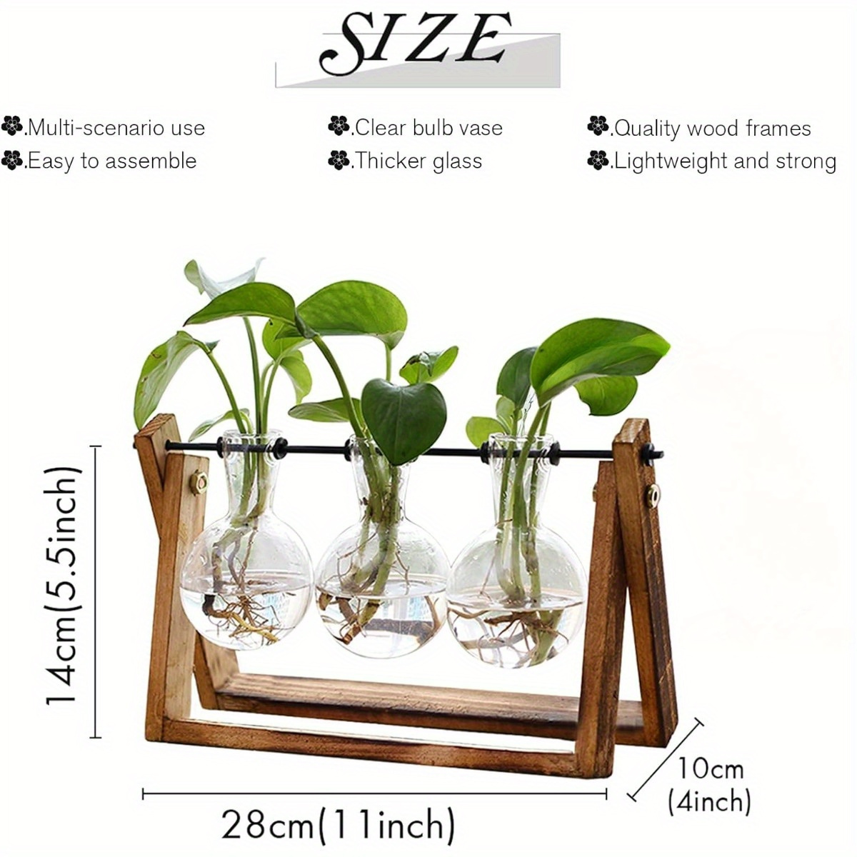 1pc Terrario Piante Supporto In Legno Vaso In Vetro Piante - Temu