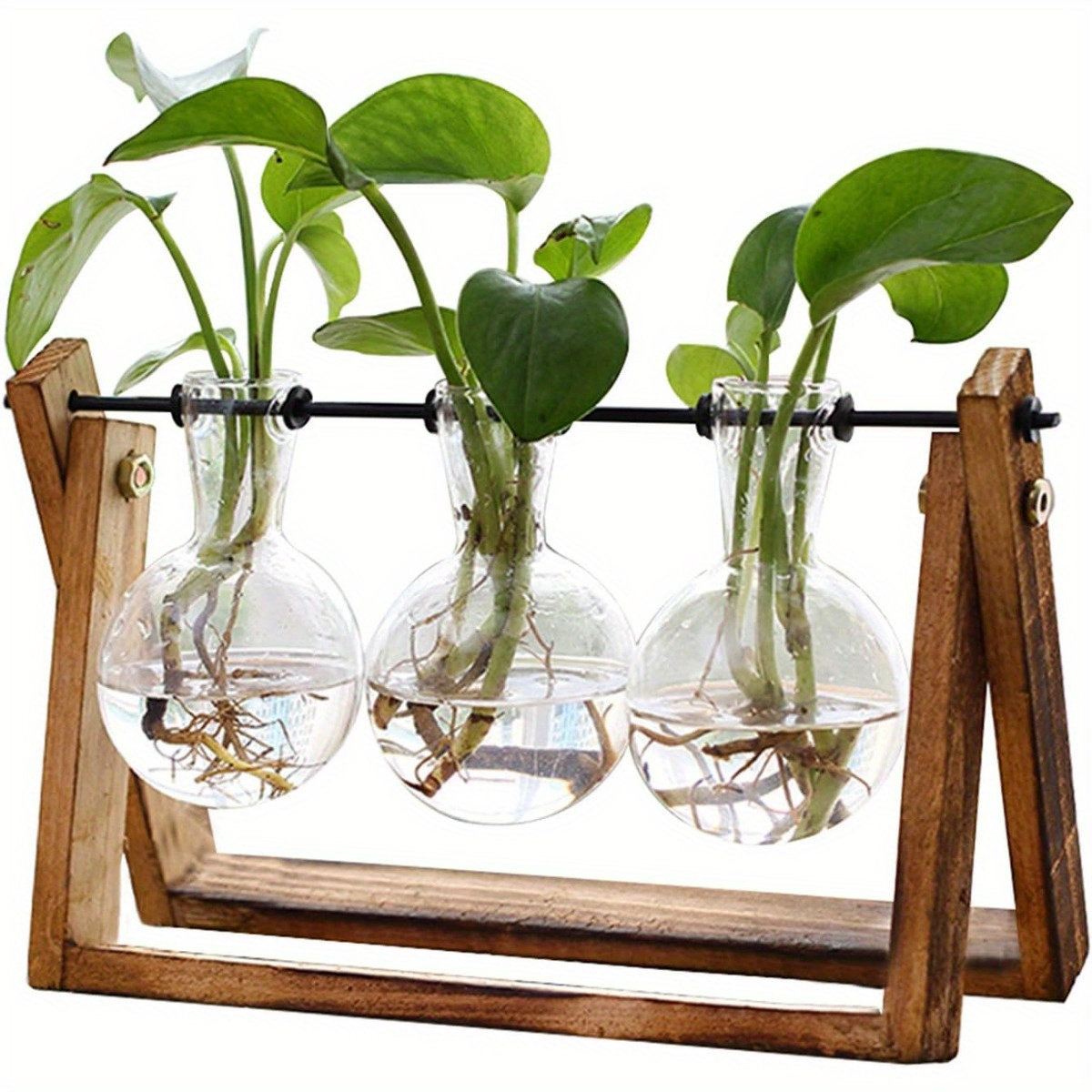 QUVIO Plante aquatique standard en bois / Vase en Verres pour plante  aquatique / Aussi