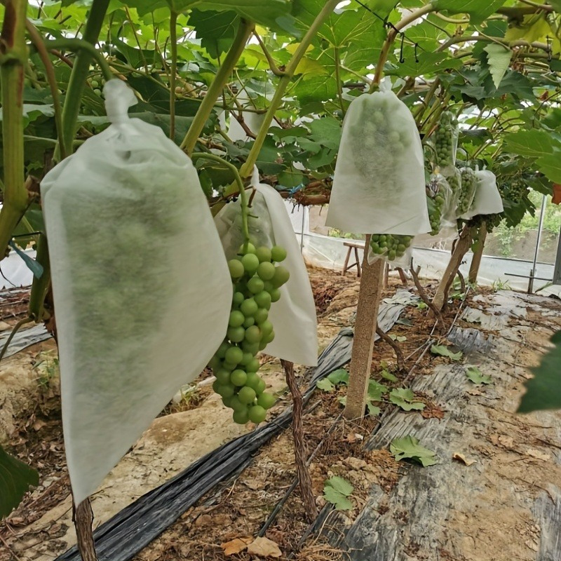 

100pcs Fruit Cover Mesh Bag Insect Proof, Rain-proof & Breathable Protection For Your Fruits, Plant Climbing Net, Trellis Netting For Climbing Plants, Planting Supplies & Tools