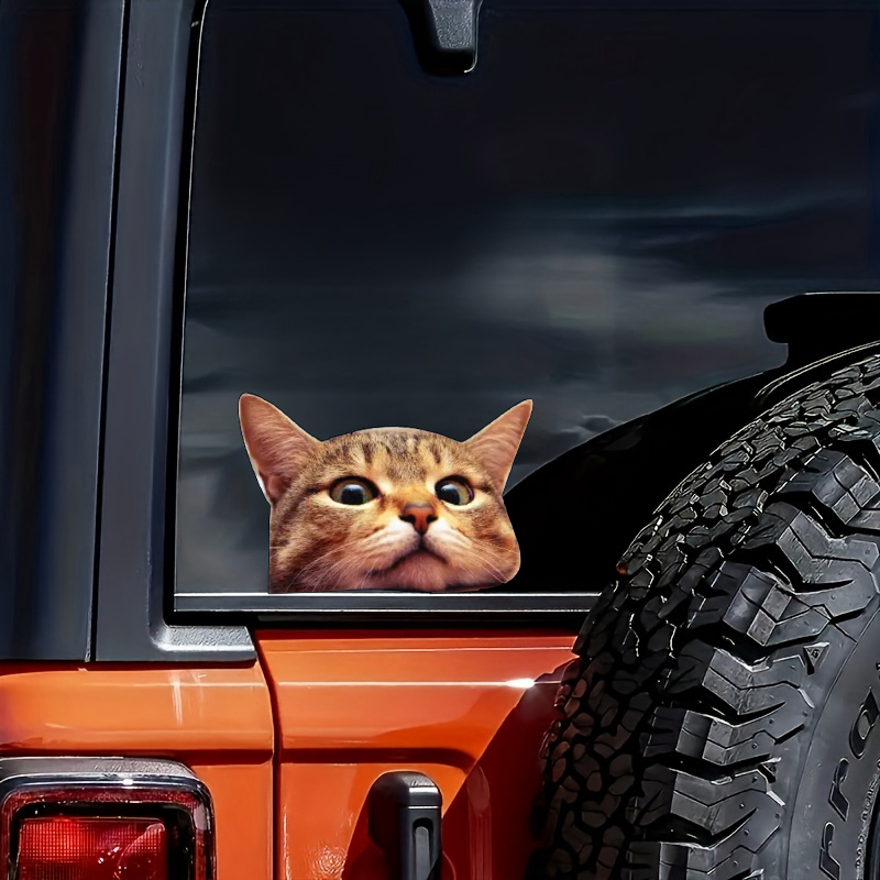 1 Adesivo Per Finestra Con Gatto Adorabile: Perfetto Per I Finestrini Di  Auto O Camion! - Temu Italy