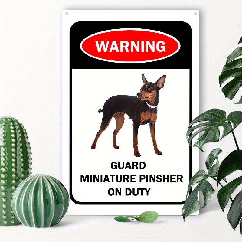 

1pc 8x12inch (20x30cm) Aluminum Sign Metal Tin Sign Beware Guard Miniature Pinscher On Duty Metal Signs For Home Coffee Garage Men Cave