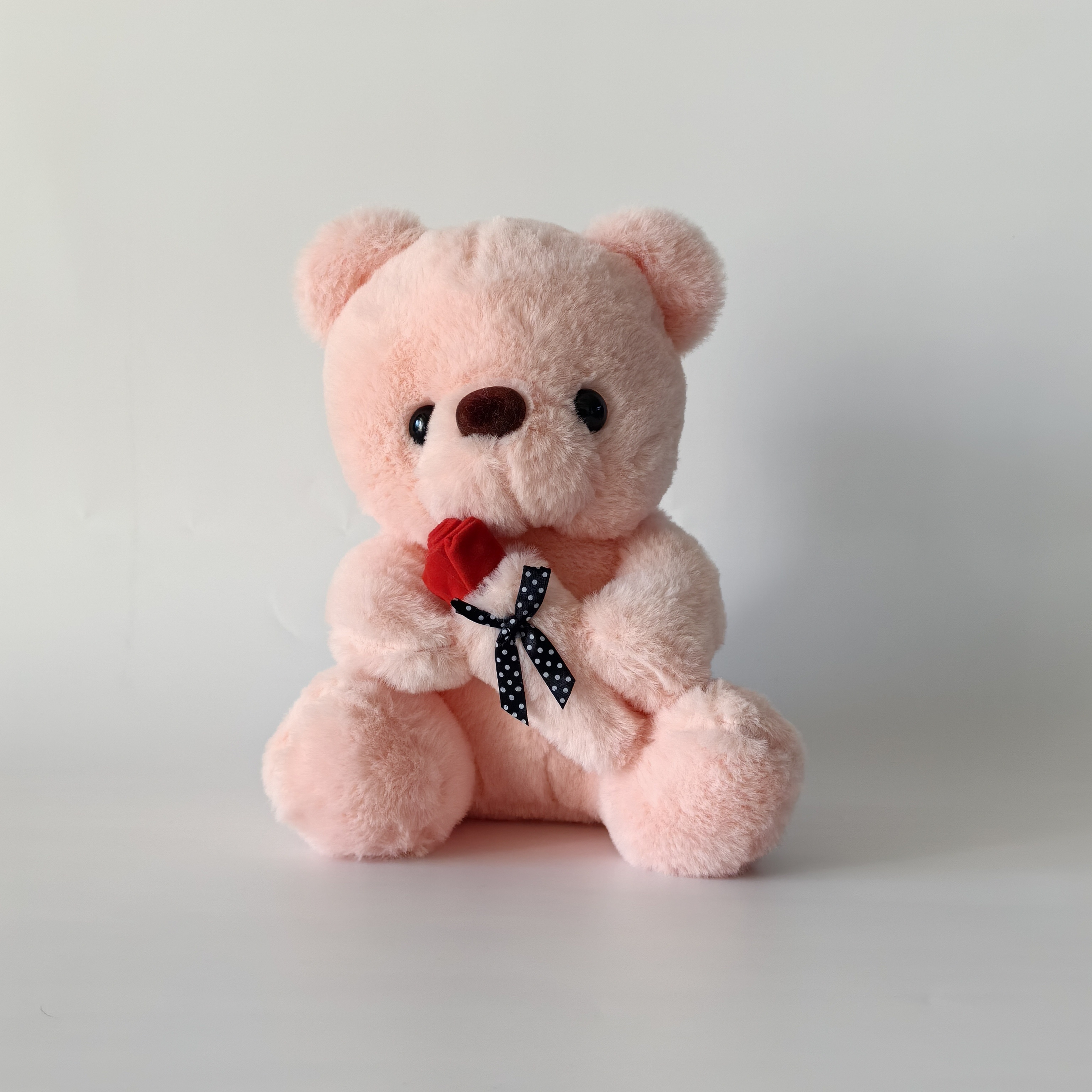 Mini Teddy Rose